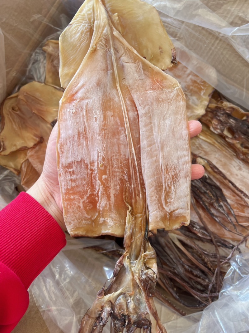 淡干大鱿鱼地摊电商批发纯淡带头带尾大鱿鱼鱿鱼干干鱿鱼