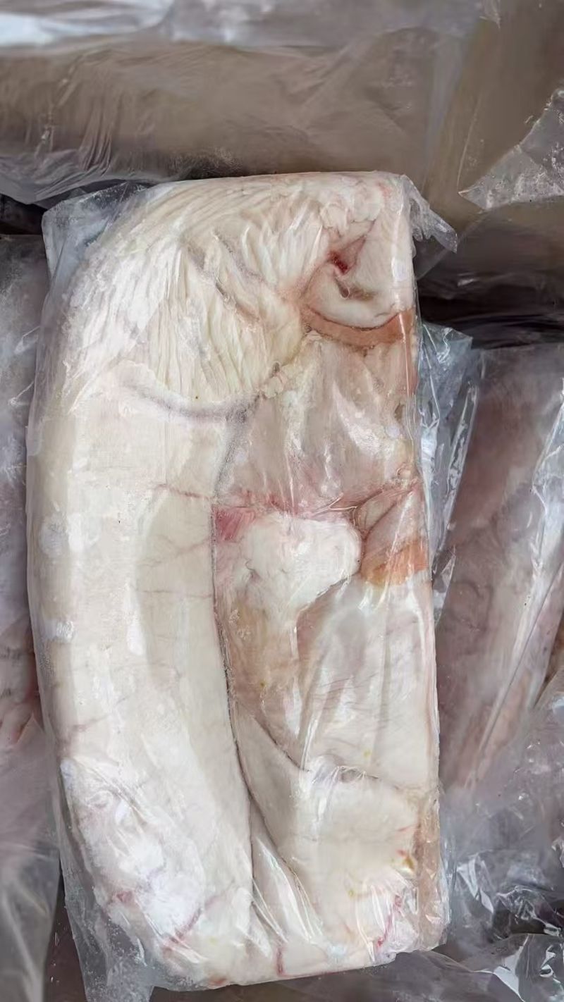 20一22个纯干去油一级大肚