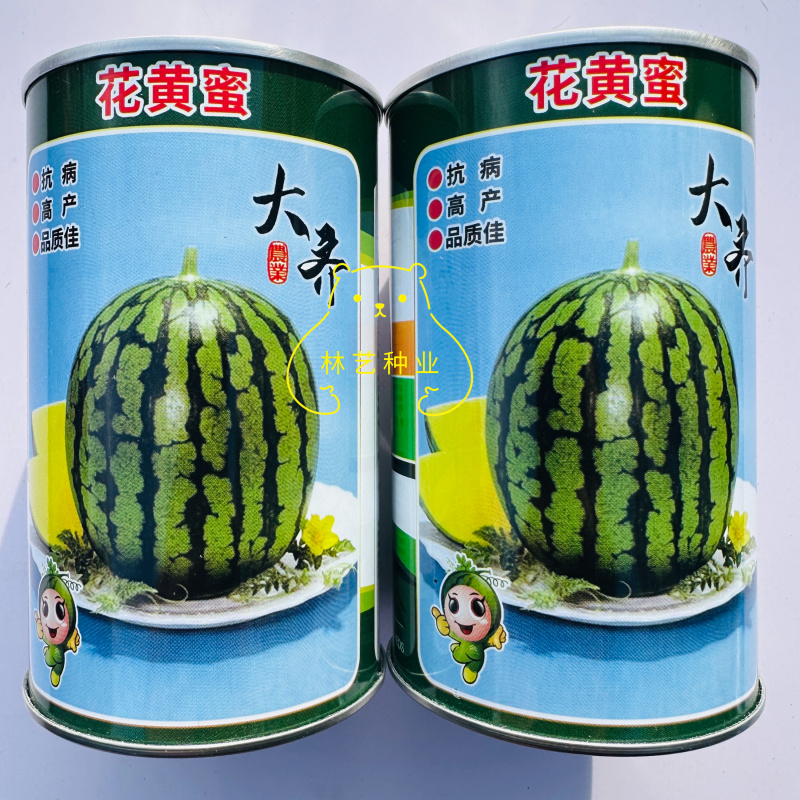 大齐花黄蜜早熟黄瓤西瓜种子质细脆花皮黄壤西瓜种籽