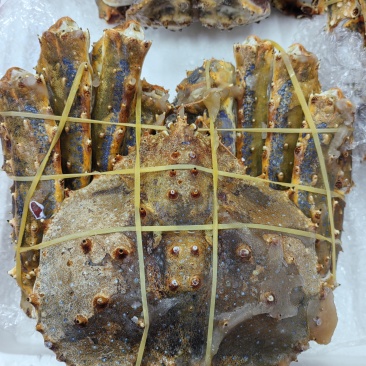 生冻帝王蟹（蓝红）