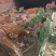 梅花鹿活体鹿长春市双阳区优良品种母鹿仔公鹿全国可发货