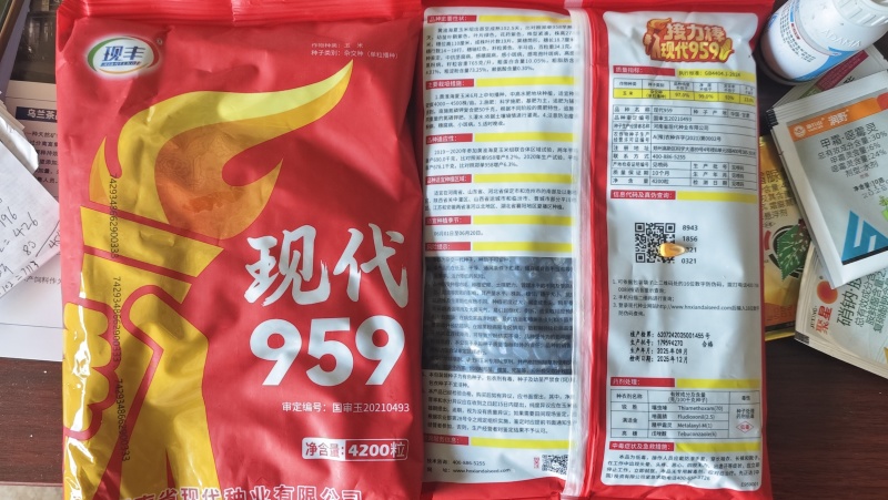 现代959玉米种子现代959国审原厂正品红轴大棒抗病抗倒