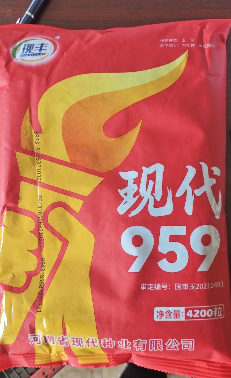 现代959玉米种子现代959国审原厂正品红轴大棒抗病抗倒