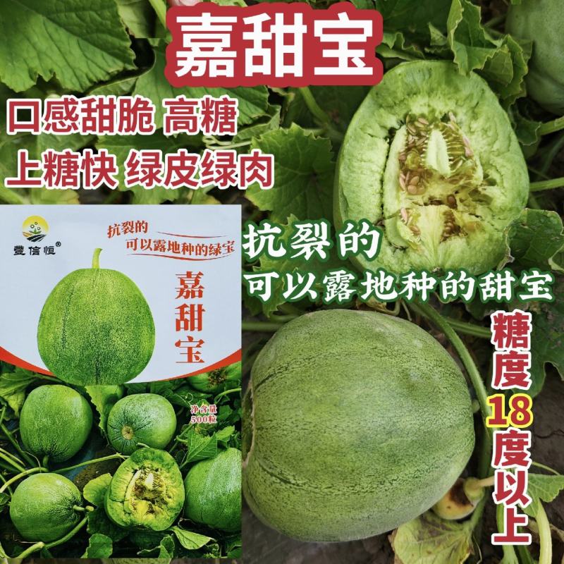 丰信恒甜瓜种子绿皮绿肉甜脆嘉甜宝绿宝甜瓜种子抗裂高糖露地