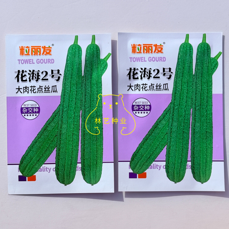 花海2号大肉花点丝瓜种子甜脆厚肉大果高产抗病商品性佳
