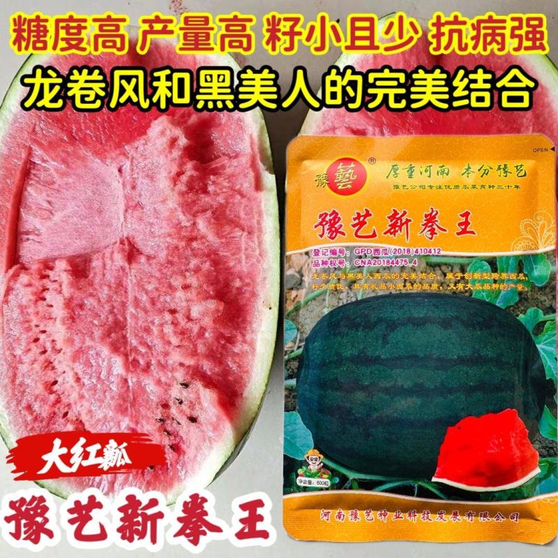 豫艺新拳王西瓜种子正品超甜大红瓤黑绿皮西瓜种籽糖度高少籽