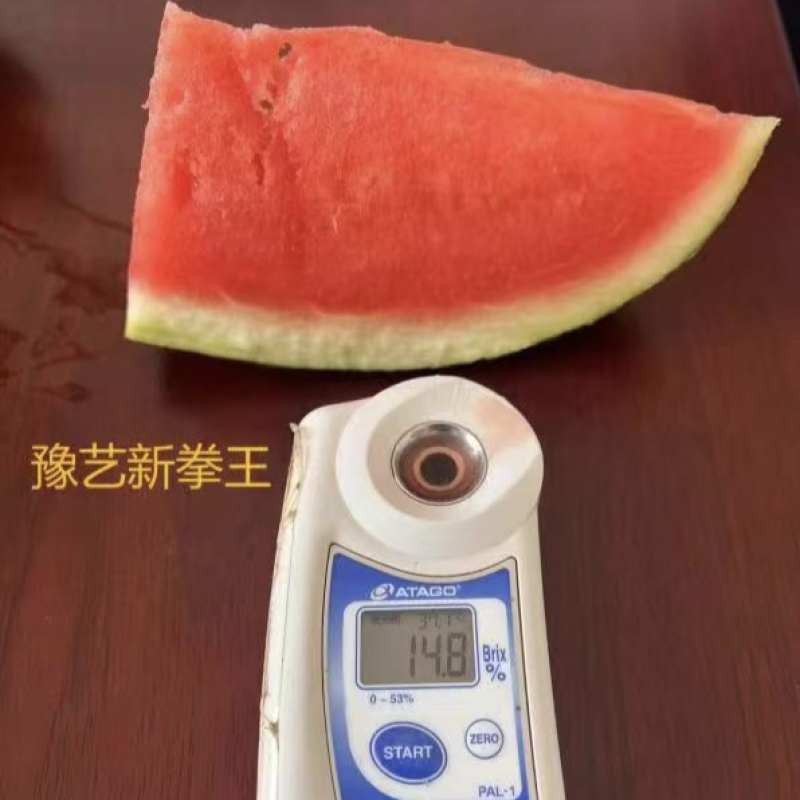 豫艺新拳王西瓜种子正品超甜大红瓤黑绿皮西瓜种籽糖度高少籽