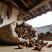 野生茶籽壳