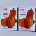 蜂蜜南瓜种子早熟大果蜜本南瓜粉糯甜蜜品质上乘口感优良