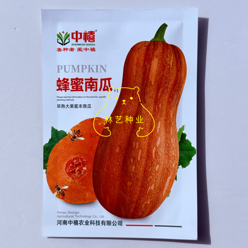 蜂蜜南瓜种子早熟大果蜜本南瓜粉糯甜蜜品质上乘口感优良