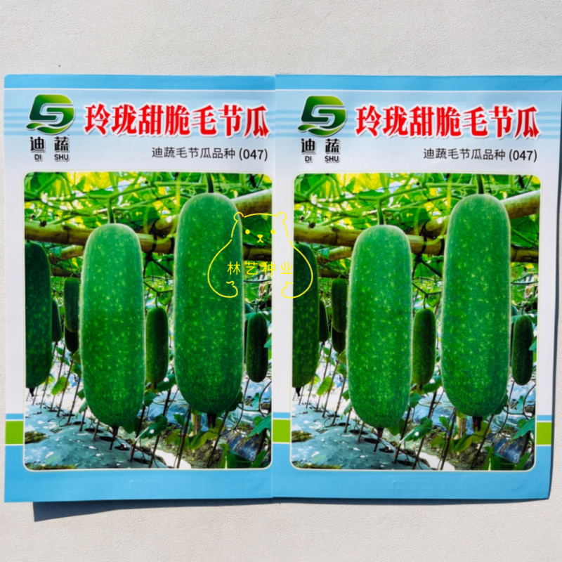 玲珑甜脆毛节瓜种子绿肉绿瓤杂交一代小冬瓜种籽