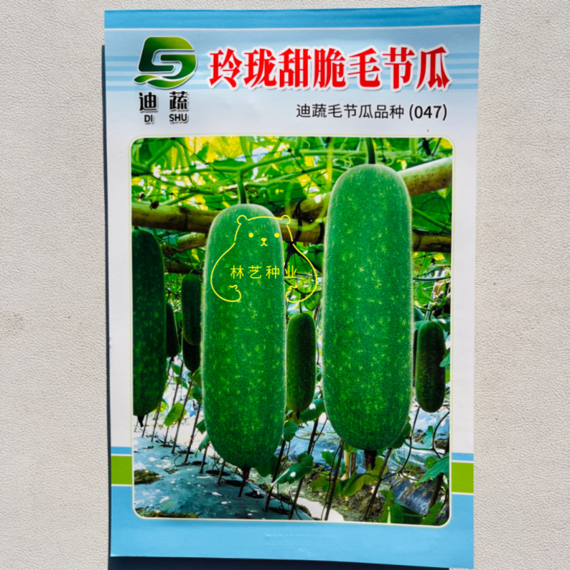 玲珑甜脆毛节瓜种子绿肉绿瓤杂交一代小冬瓜种籽