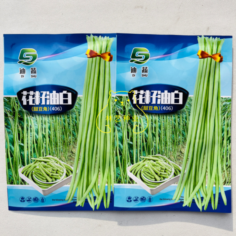 花籽油白豆角种子高产抗病长豇豆种籽春秋蔬菜