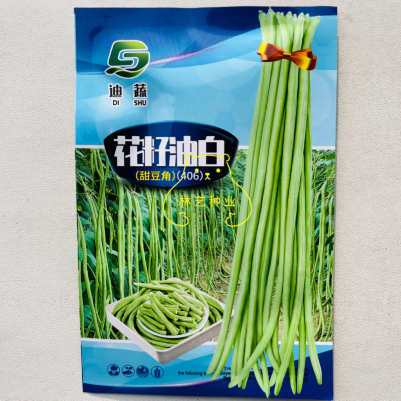 花籽油白豆角种子高产抗病长豇豆种籽春秋蔬菜