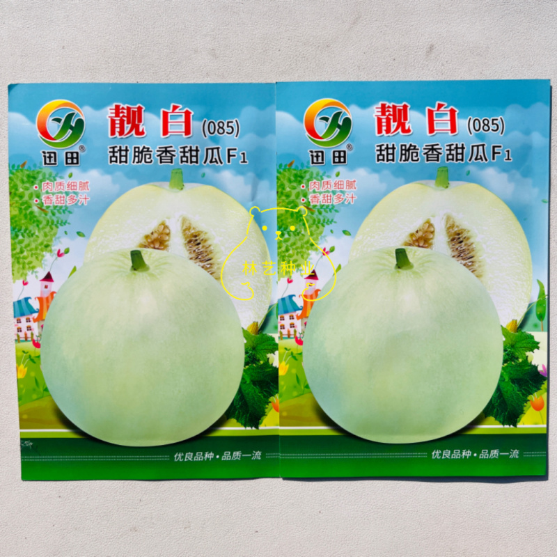 靓白甜瓜种子薄皮优质果梨形糖分高香味浓白皮白肉香