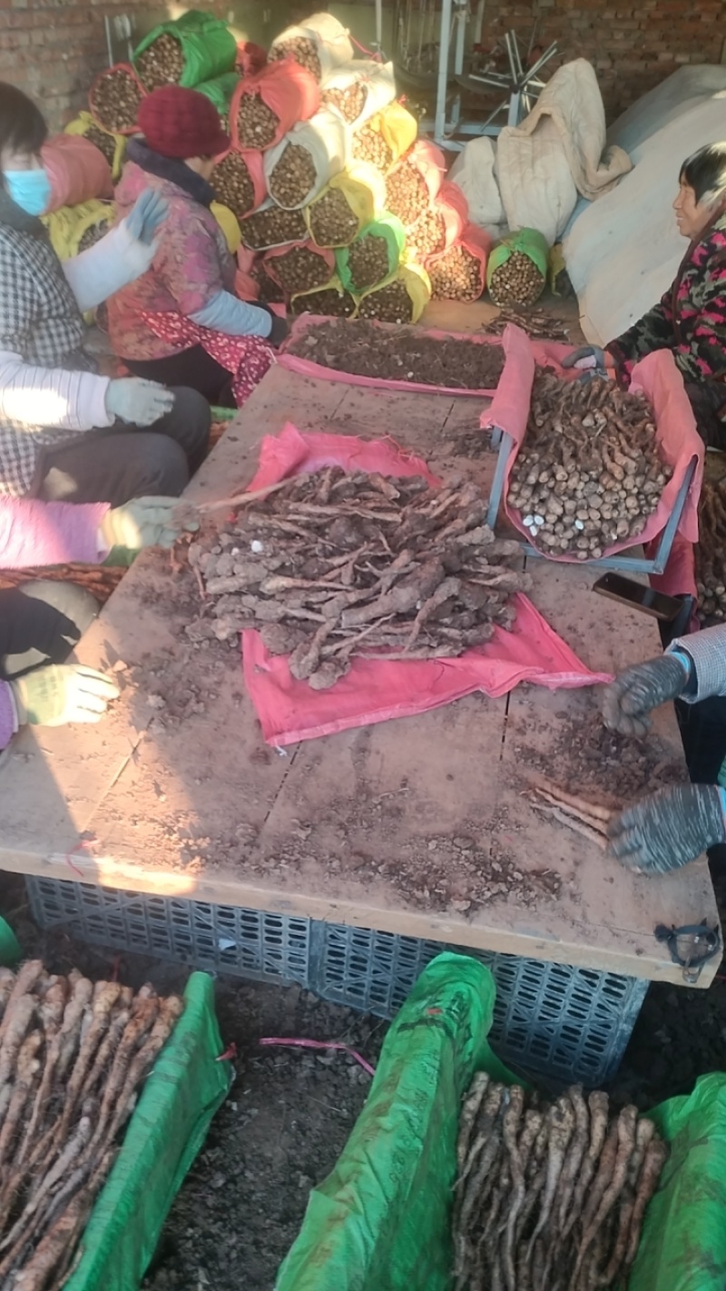 临漳铁棍山药