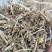 花生秧草料无土无膜无霉变