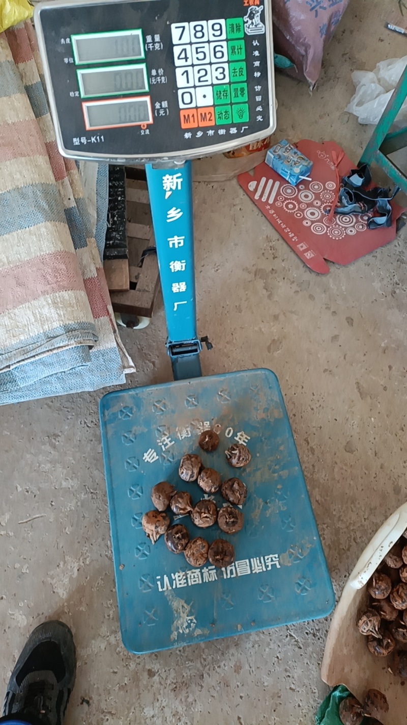 新鲜荸荠，脆甜奶香，货品齐全，欢迎各位老板前来选购