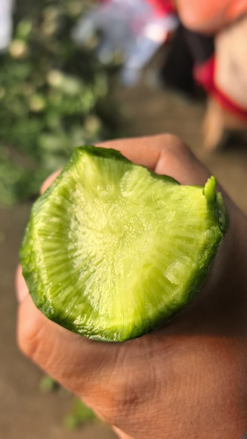 水果萝卜
