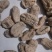 昭通小草坝干天麻个头饱满肉质厚实断面玉质无空心