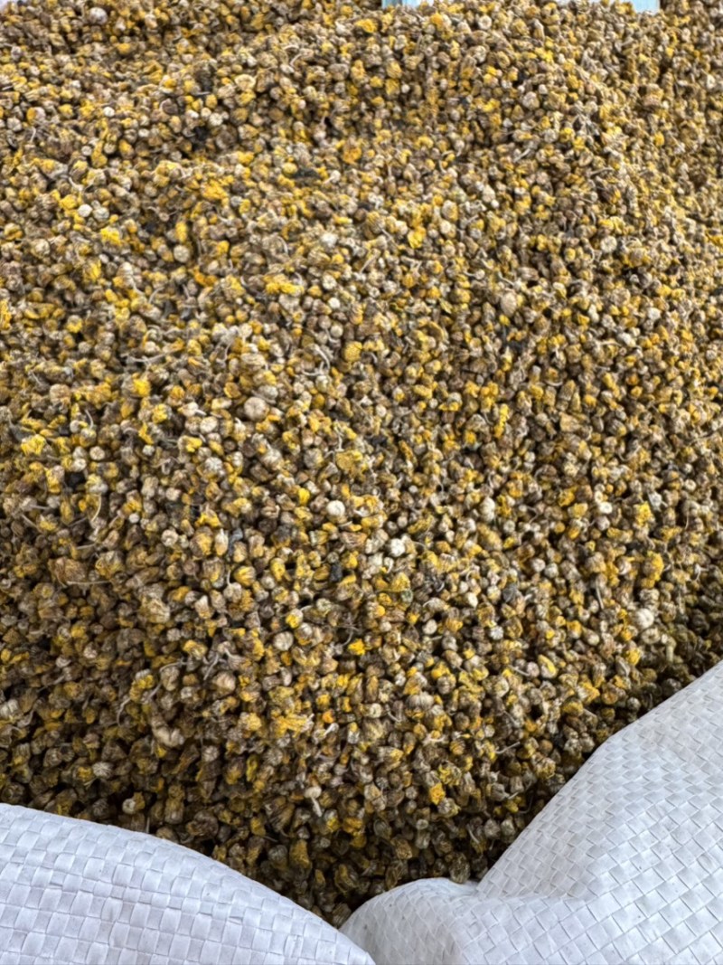 野菊花茶小野菊花中药材正宗大别山野菊花无硫新货小花蕾