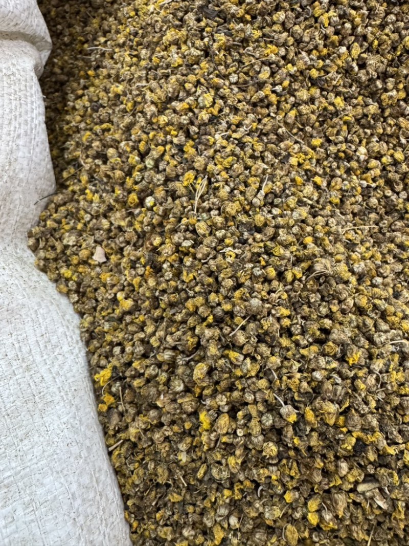 野菊花茶小野菊花中药材正宗大别山野菊花无硫新货小花蕾