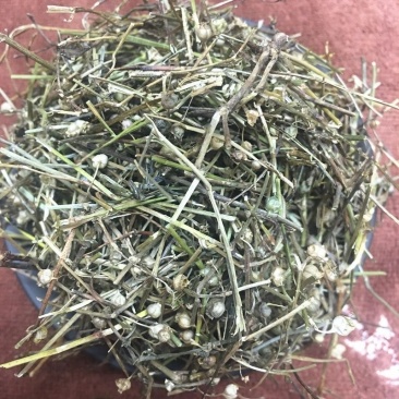 中药材白花蛇舌草蛇草白花草白花蛇草中草药批发零售