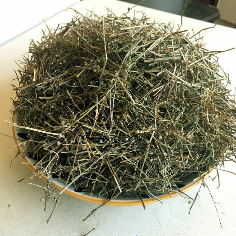 中药材白花蛇舌草蛇草白花草白花蛇草中草药批发零售