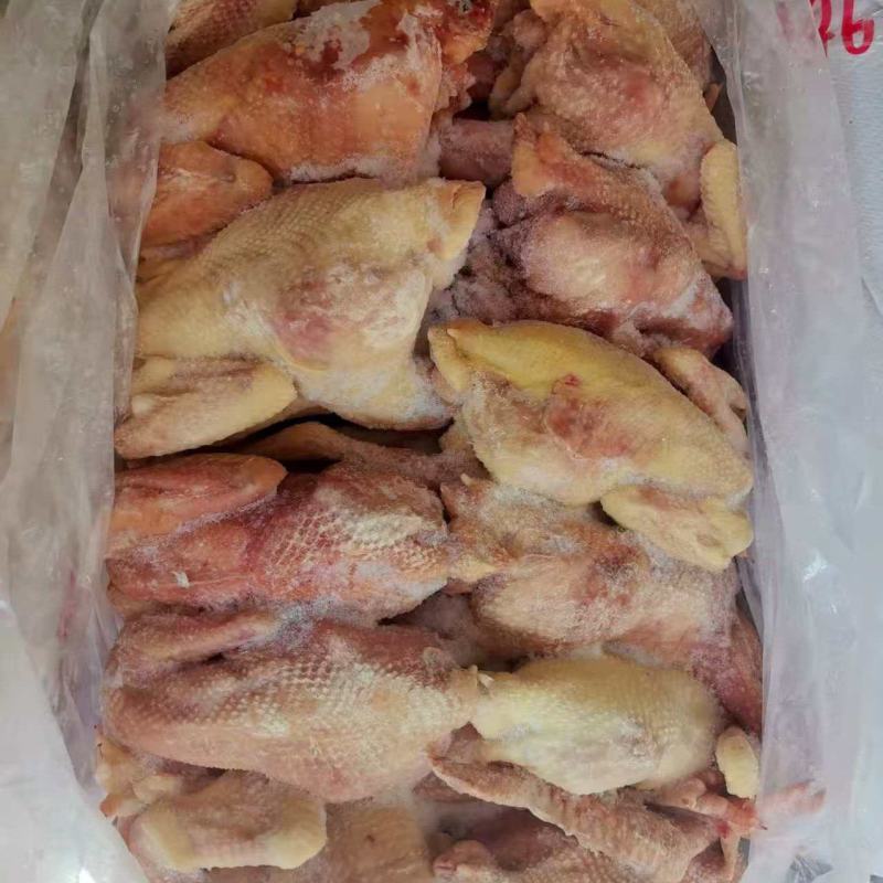 三级老母鸡