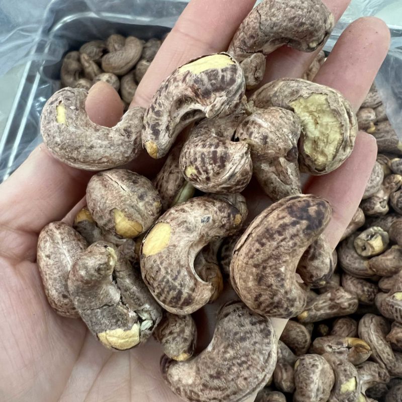 180紫衣腰果