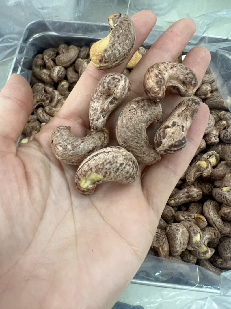 180紫衣腰果