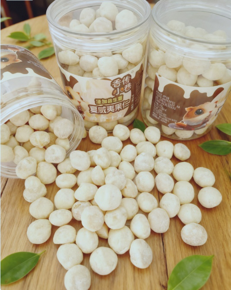 夏威夷果仁奶香味添加益生菌一件代发批发