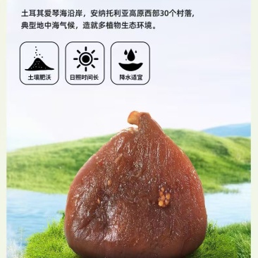 三蒸三晒无花果干土耳其大果独立包装一件代发批发