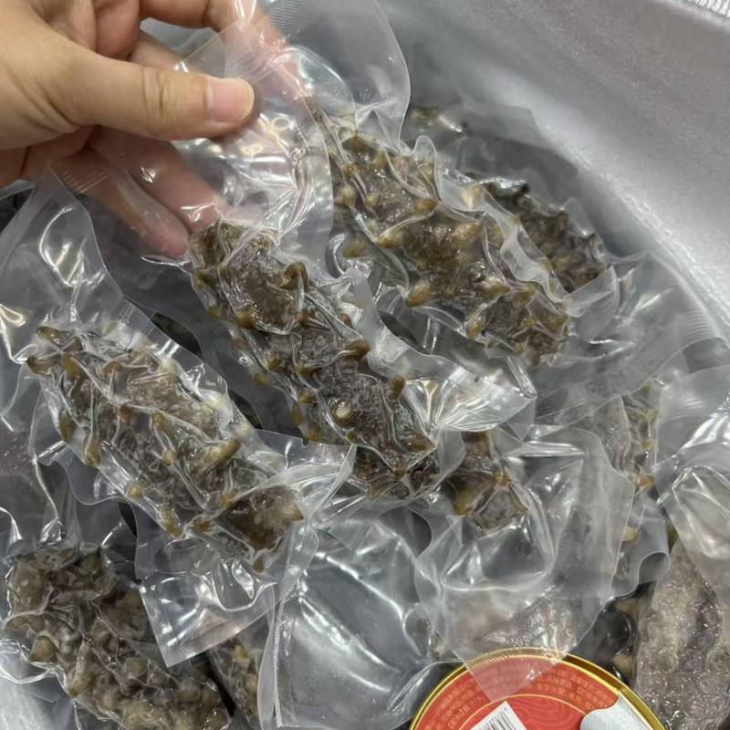 大连辽参鲜食