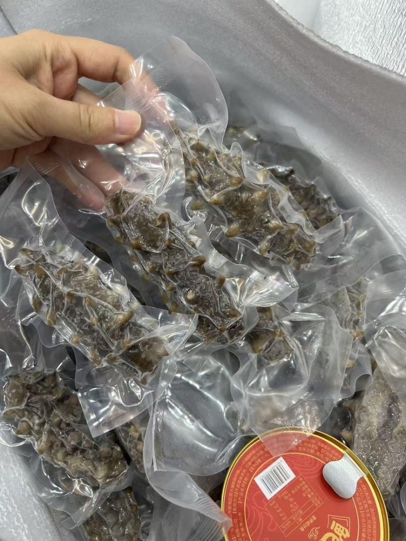 大连辽参鲜食