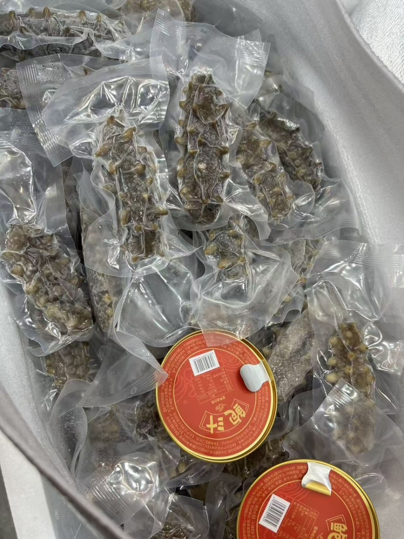 大连辽参鲜食