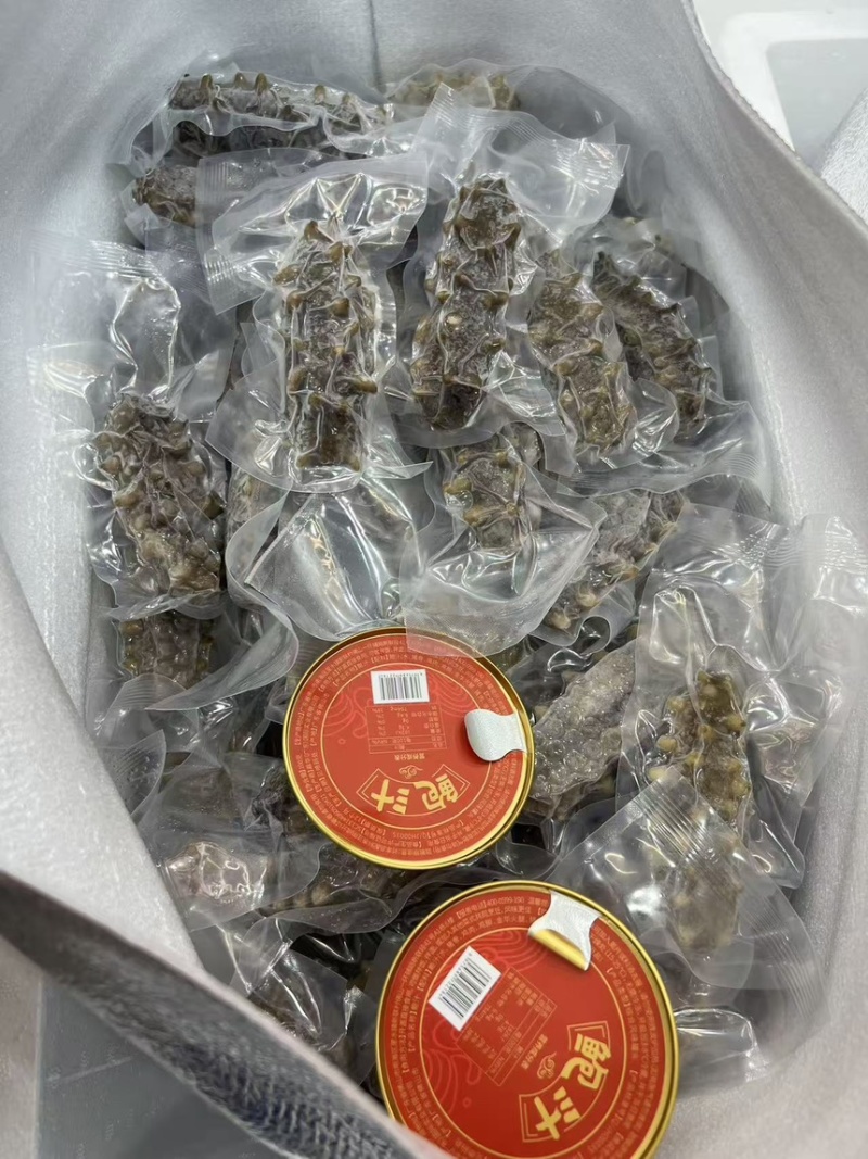 大连辽参鲜食