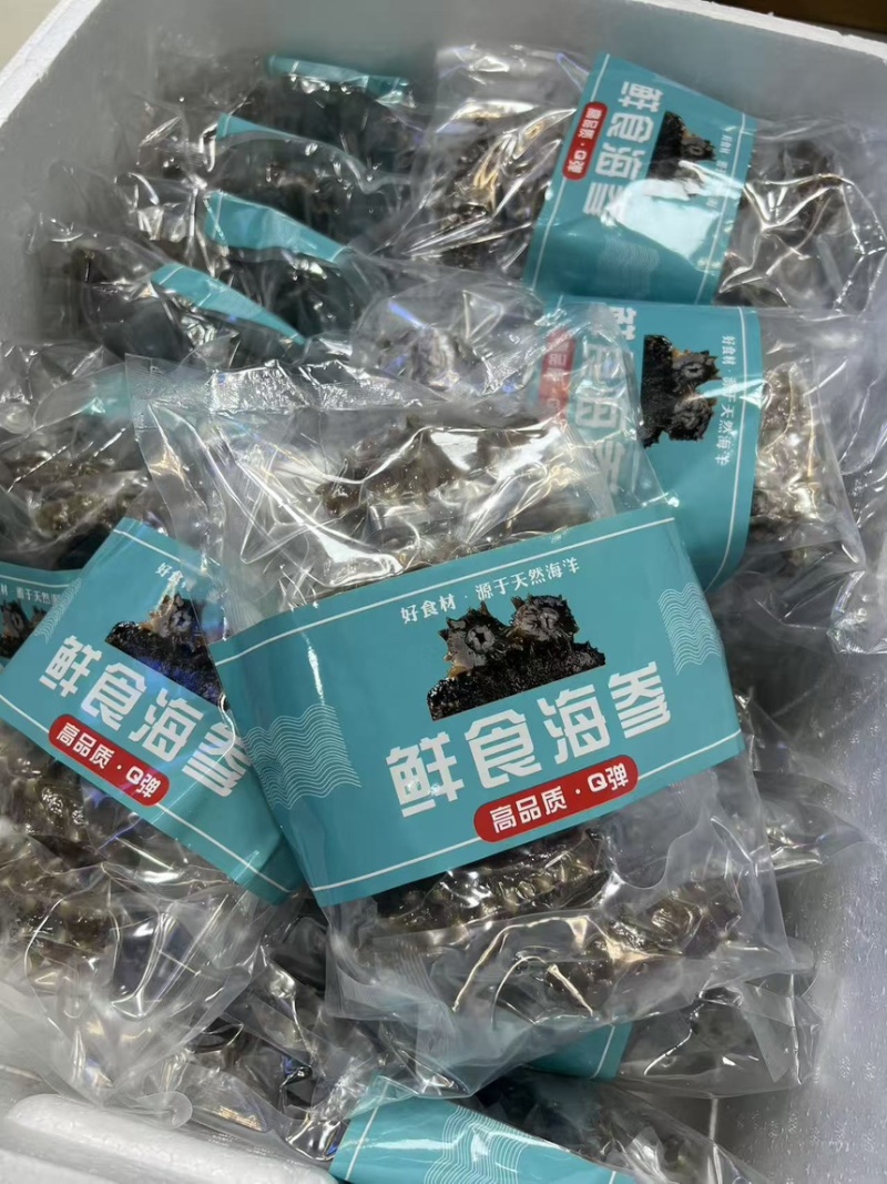 大连辽参鲜食