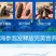 包邮）大连淡干海参干货500g深海辽刺参6-9年孕妇级