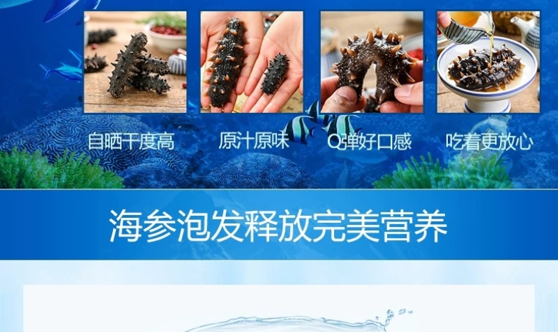包邮）大连淡干海参干货500g深海辽刺参6-9年孕妇级