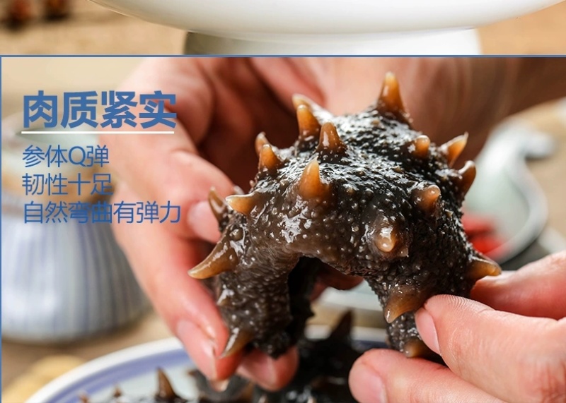 包邮）大连淡干海参干货500g深海辽刺参6-9年孕妇级