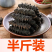 包邮）大连淡干海参干货500g深海辽刺参6-9年孕妇级