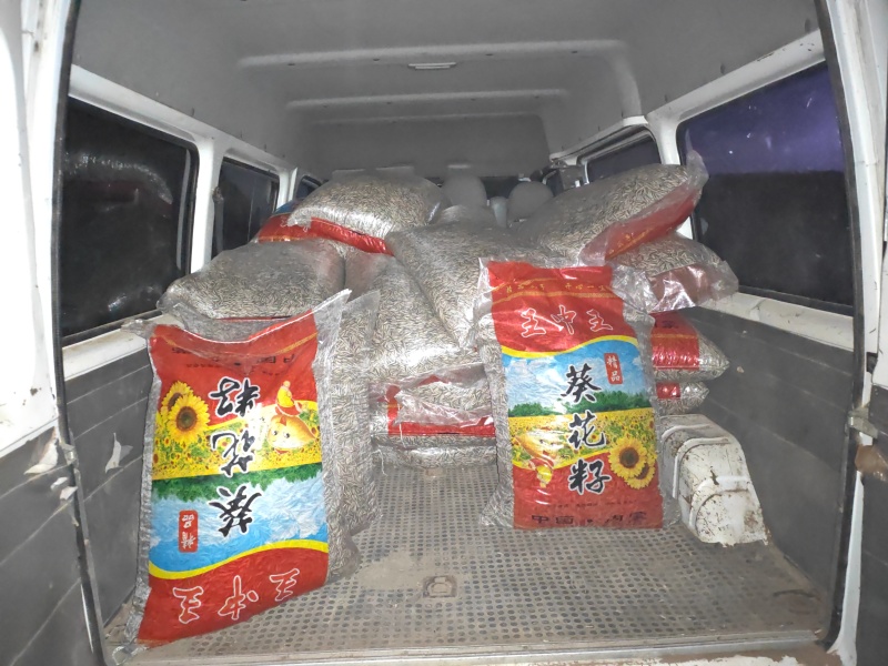 嘉立仓9号清华品种千粒210以内