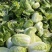 大白菜黄心白菜200亩基地直发净菜上车0.65