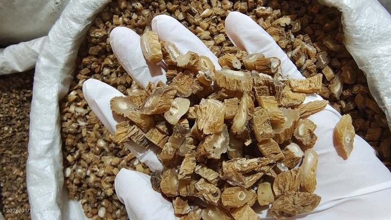 百部浙江选货2斤起包邮量大优惠