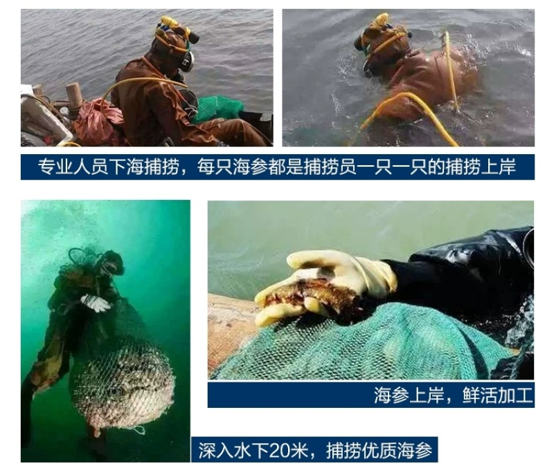 包邮）大连淡干海参干货250g深海辽刺参6-9年孕妇级
