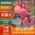 河北昌黎红富士苹果，产地直发，量大价优，欢迎致电