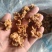 羊肚耳产地精品羊肚耳自产自销羊肚耳种植场羊肚耳批发零售价