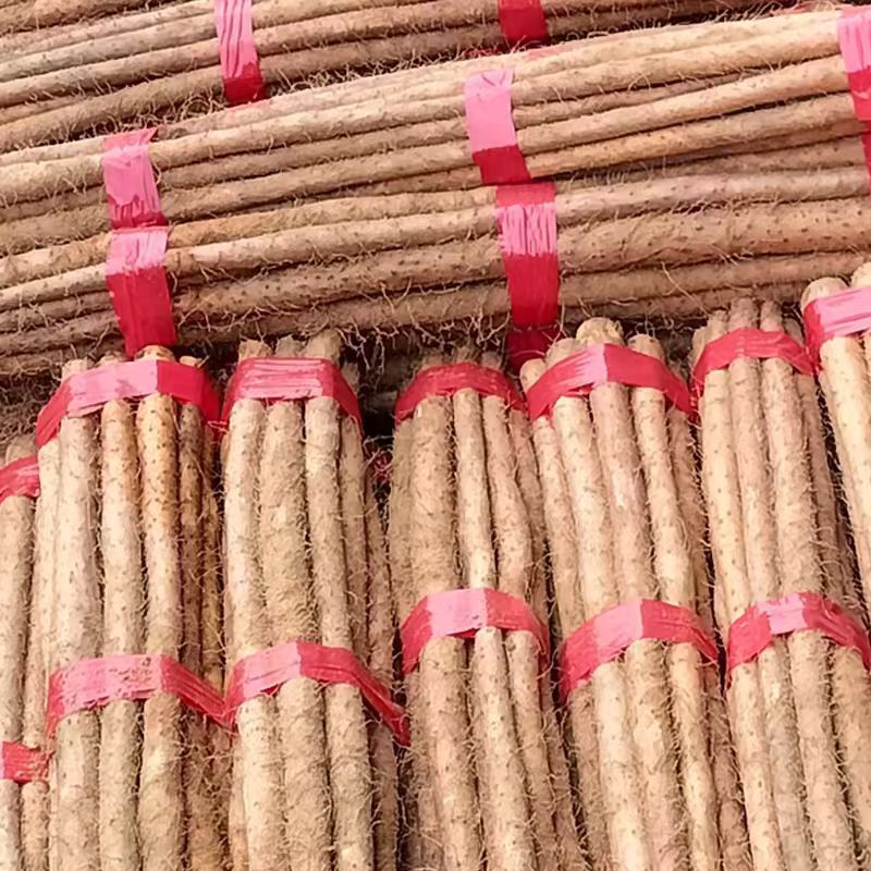 白玉山药铁棍山药双棒山药大量供应可视频看货欢迎来电