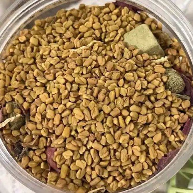 中药材葫芦巴